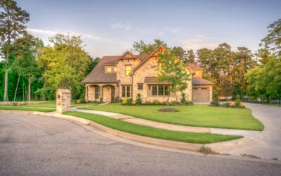 What to Expect When Hiring a Professional Landscaper