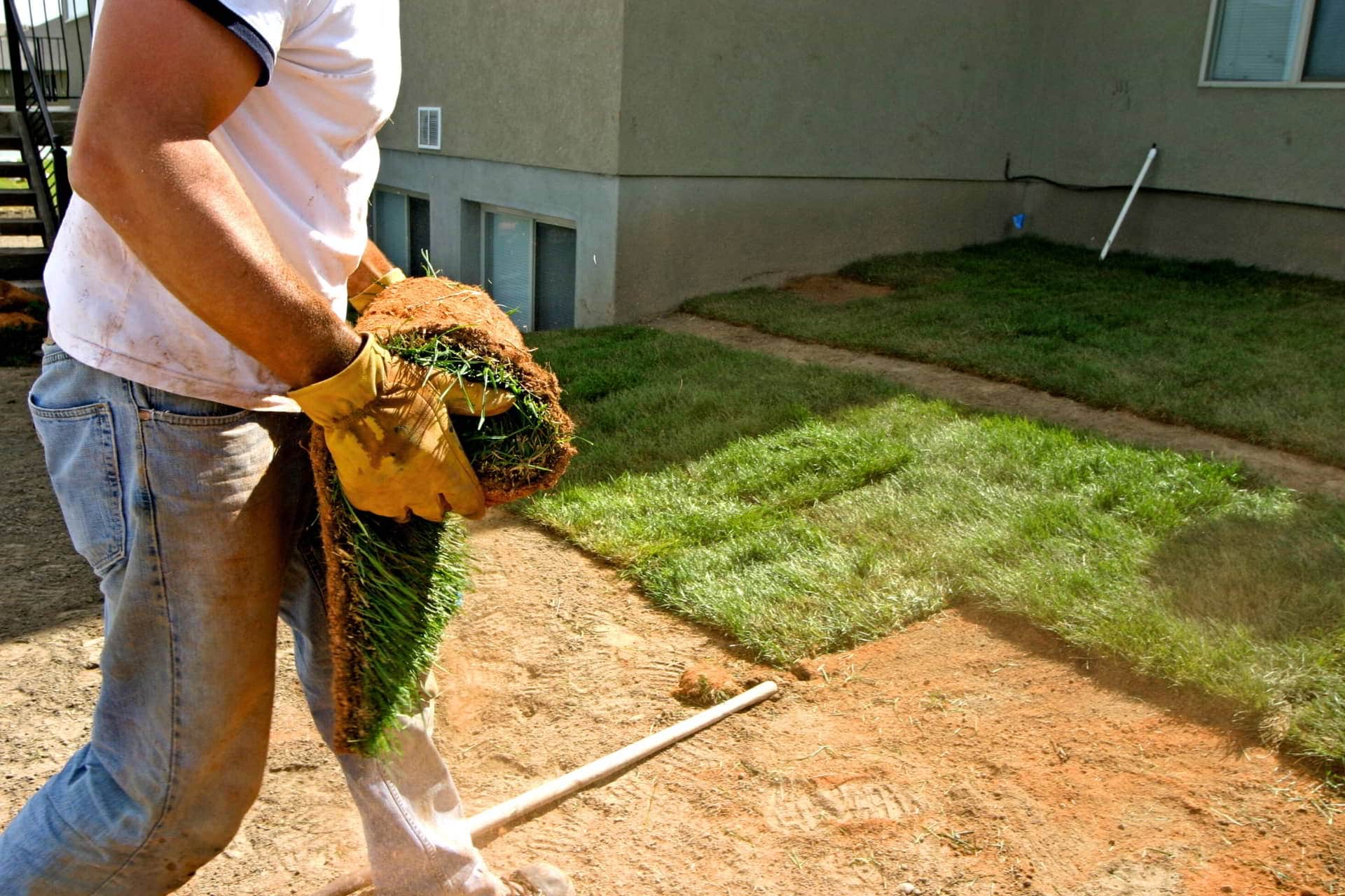 slidell landscaper laying sod