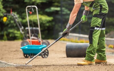 Signs That Your Yard Needs Professional Leveling