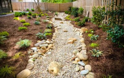 10 Landscaping Ideas to Help Protect Your Yard From Extreme Weather