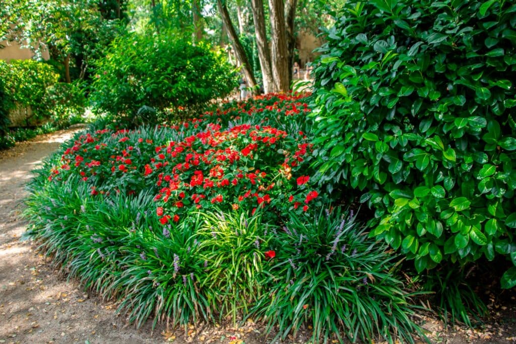 low maintenance landscaping